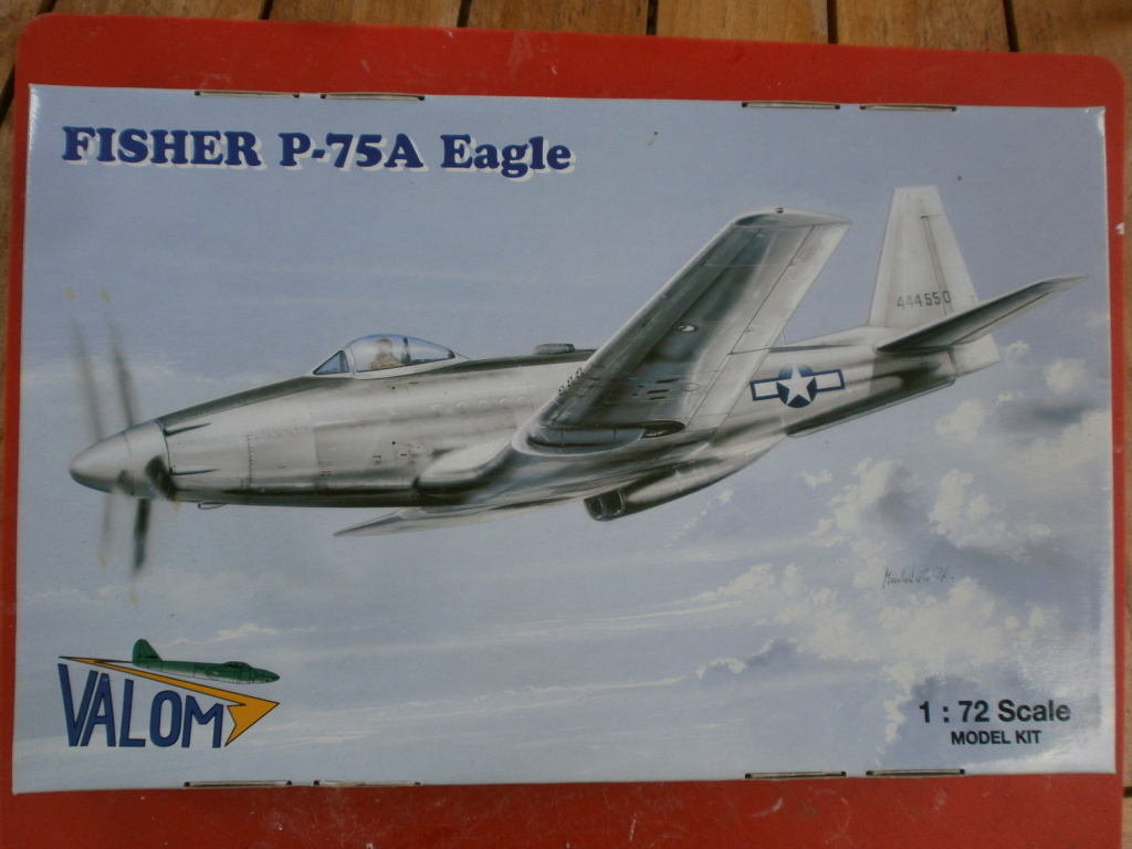 [Valom] Fisher P 75 A Eagle - Terminé 179