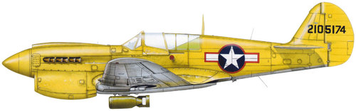 [Hasegawa] Curtiss P 40 N - Terminé 2594
