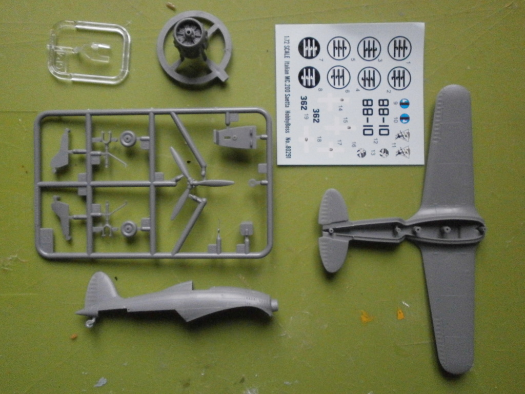 [Hobby Boss] Macchi MC 200 Saetta - Terminé P2260013