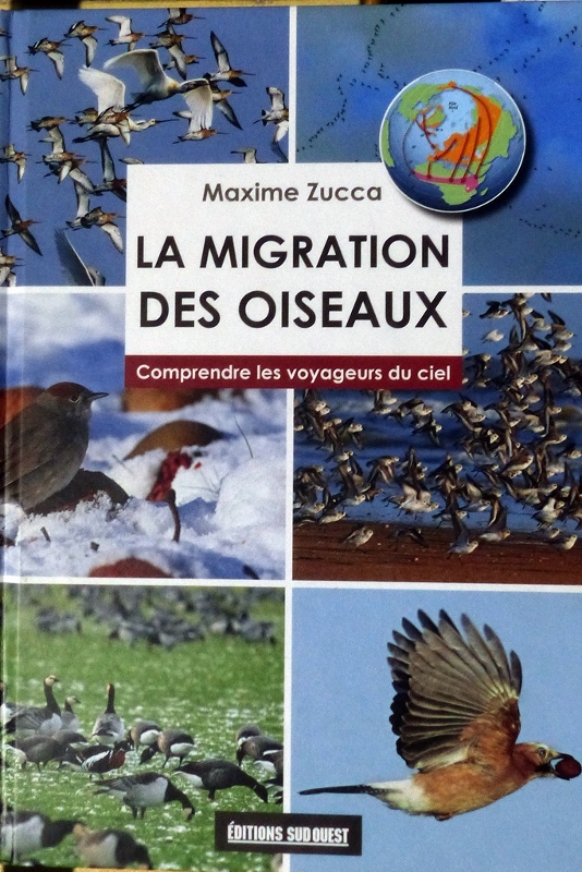 Migration  : Pourquoi migrer ? Migrat10