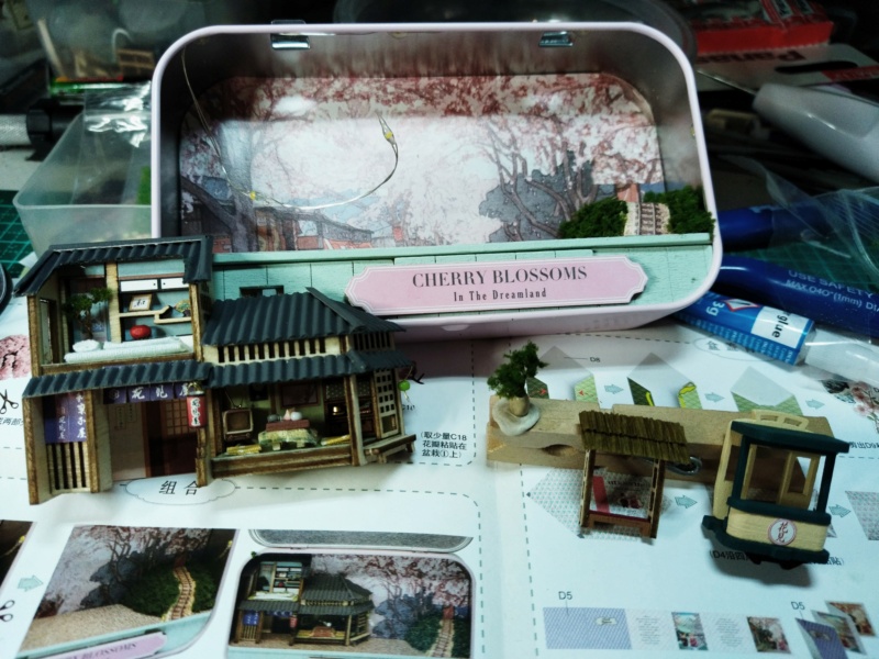 BOX THEATRE  Cherry blossom Img_2021