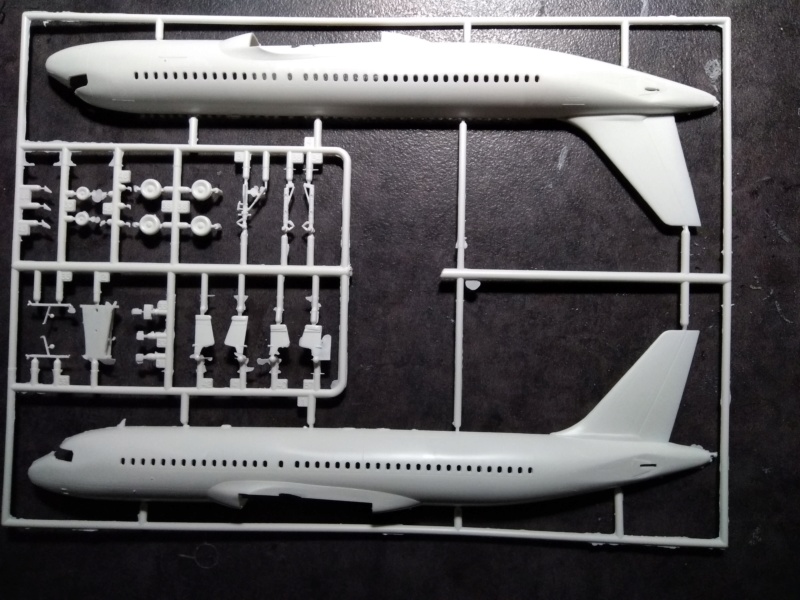 [VEB PLASTICARD] DASSAULT MERCURE 1/100ème Réf ? - Page 4 Amx-1318