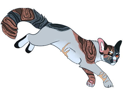 Staubpfote| Windclan| Männlich New_ca16