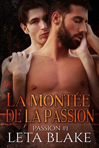 Passion - Passion T1 : La montée de la passion - Leta Blake 41ixn910