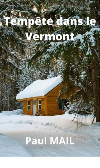 Dans le Vermont T1 : Tempête dans le vermont - Paul Mail  71bfiv10