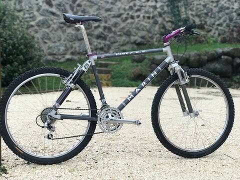 Marin pine sales mountain 1993