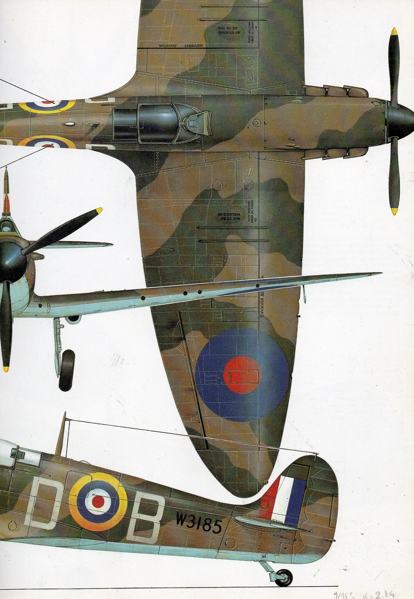Spitfire MkIIa de Douglas Bader 100% scratch en bois massif sculpté au 1/15 ème 0220