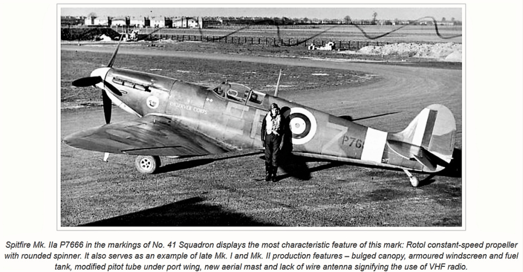 Spitfire MkIIa de Douglas Bader 100% scratch en bois massif sculpté au 1/15 ème - Page 2 Info_m11