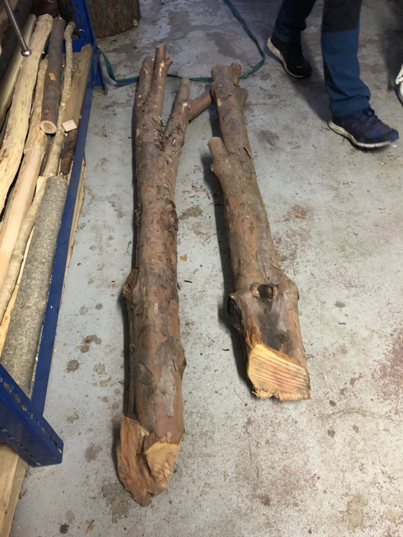 Troncos de tejo 0f3b9310