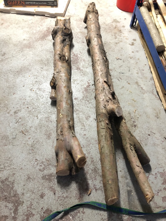 Troncos de tejo D5eb3b10