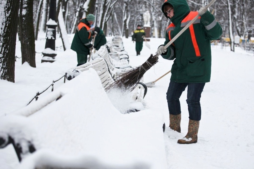 В Петербурге на борьбу со снегом вышли жители Невского района A11