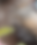 Ce sujet est verrouillé, vous ne pouvez pas éditer les messages ou faire de réponses.
