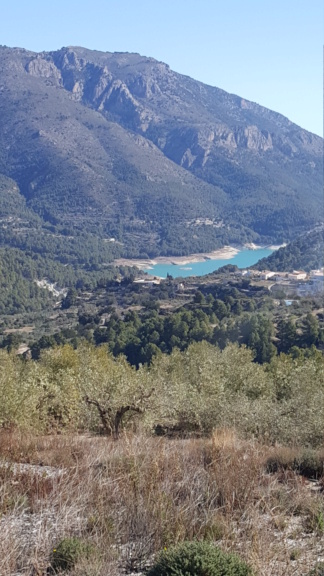 929 andalousie - Page 2 20220219