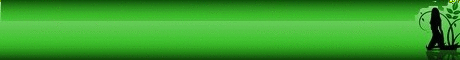 Tag logo sur ©Féline Pub | Forum de pub, codage, graphisme, annuaire web Ban-2010