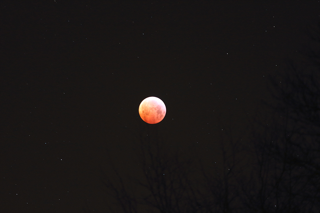 L'éclipse au 14mm et 70/200 Img_1714