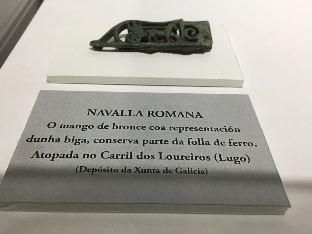 Castro y museo Celta-Romano de Viladonga, Lugo Img_7325