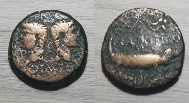 Dupondio de Augusto y Agrippa. COL NEM. Cocodrilo encadenado a una palmera. Nîmes Nimes11