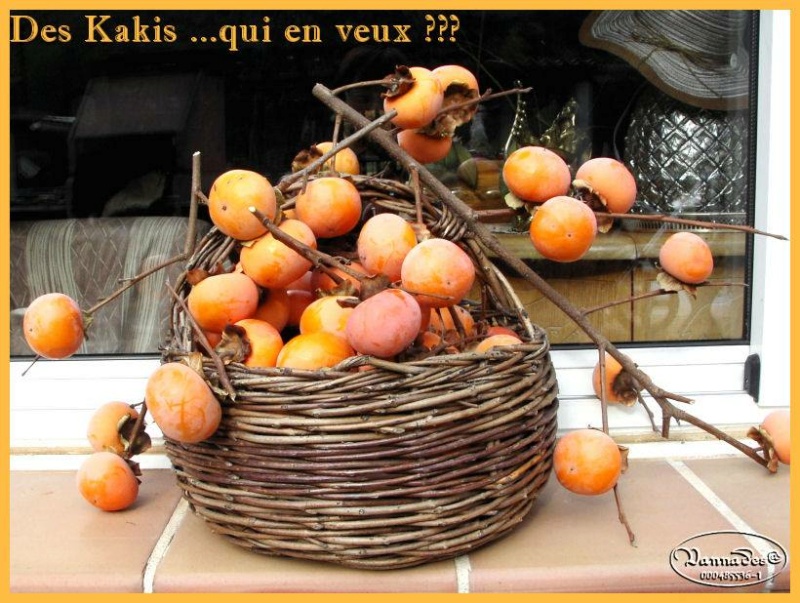 Kaki Pomme de Vannades 12301710