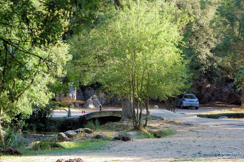 source des Nayes du Village (Var)  Dsc00913