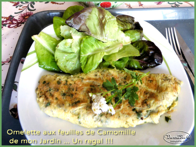 Omelette de feuilles de Camomille Omelet10