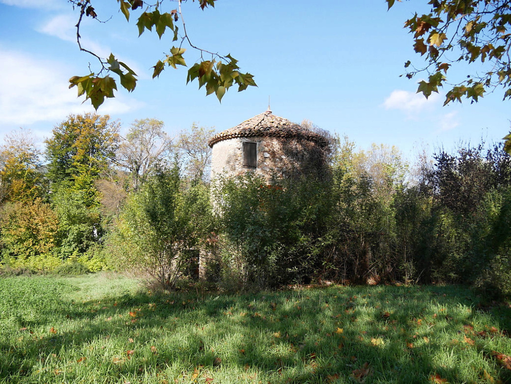 Pigeonnier P1060411