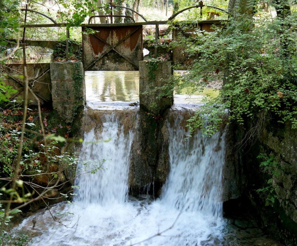 de l'eau à la source P1060720