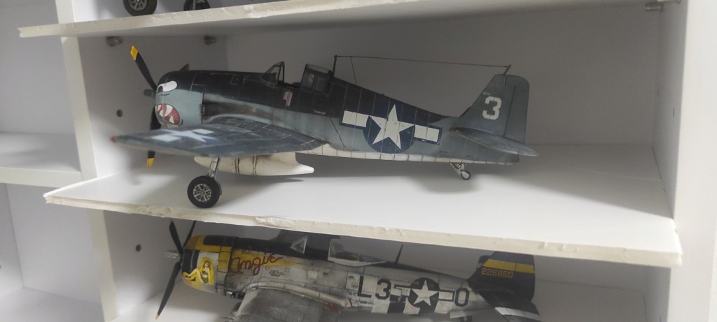 GRUMMAN F6F-3 HELLCAT DE EDUARD 1/48 Img_2217