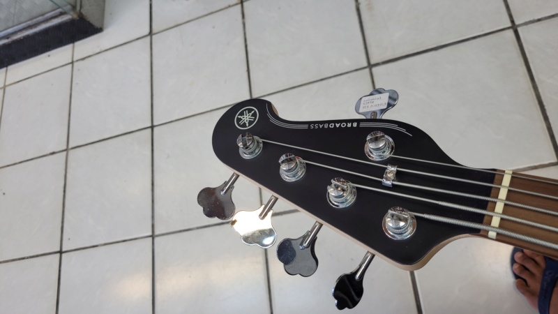 Yamaha BB235 20221014