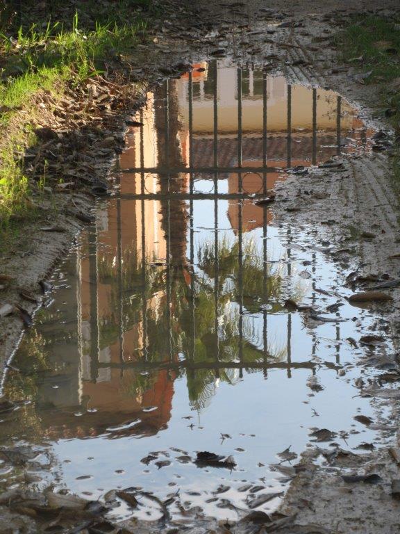 Reflets et coups de coeur par Ariane GODARD