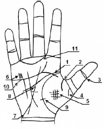 Редкие линии и знаки на руке в хиромантии 136