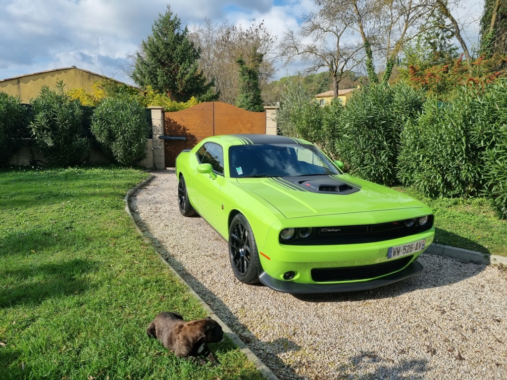 Dodge challenger shaker 20211113