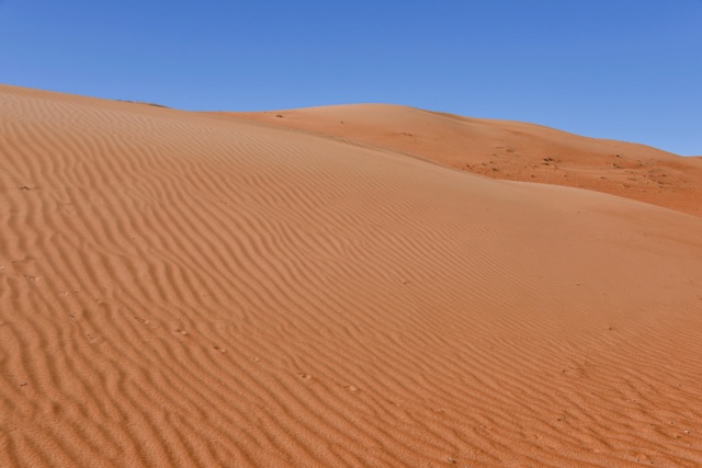 Oman, le pays des Mille et Une Merveilles ! Dsc_1064