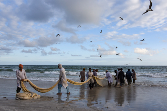 Oman, le pays des Mille et Une Merveilles ! Dsc_1515