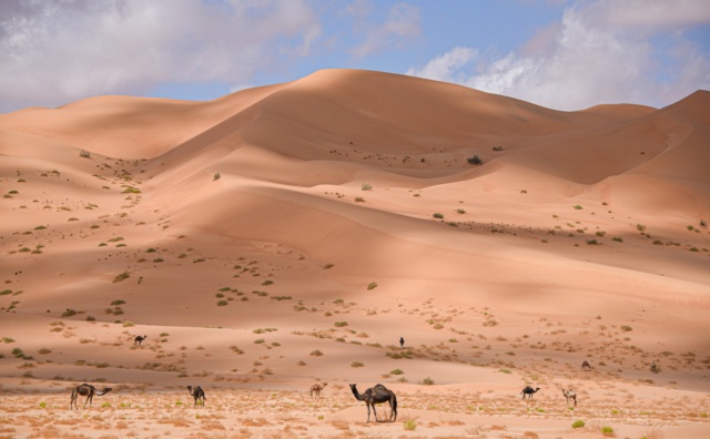 Oman, le pays des Mille et Une Merveilles ! Dsc_1628