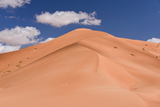 Oman, le pays des Mille et Une Merveilles ! Dsc_1632