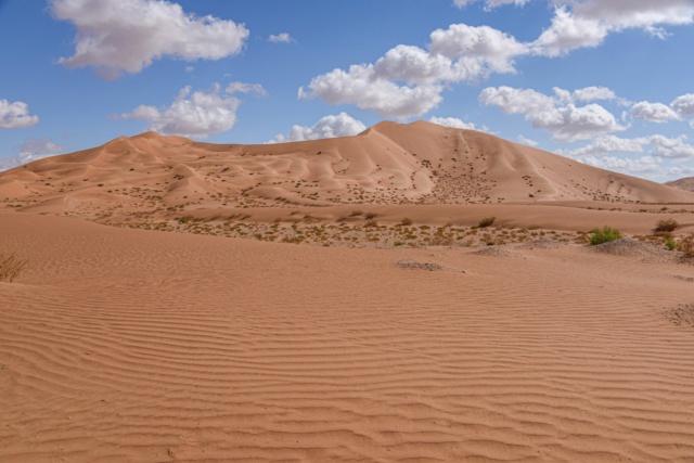 Oman, le pays des Mille et Une Merveilles ! Dsc_1717