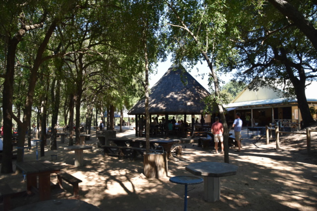 Carnet de voyage au parc Kruger  Dsc_2111