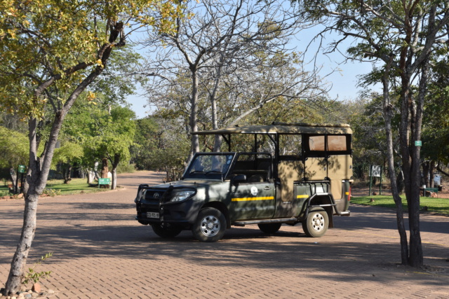 Carnet de voyage au parc Kruger  Dsc_2918