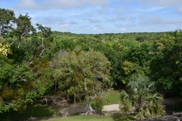 Carnet et conseils de voyage pour visiter la péninsule du Yucatan Dsc_3328