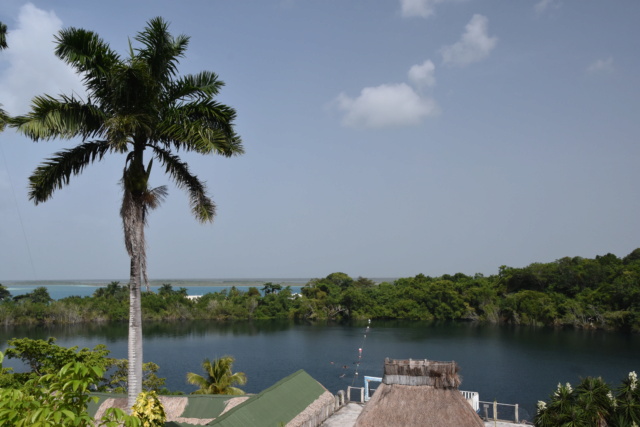 Carnet et conseils de voyage pour visiter la péninsule du Yucatan Dsc_3710