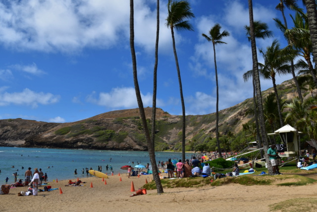 Voyage à Hawai 3 îles Oahu, Big Island et Mauï Dsc_4619