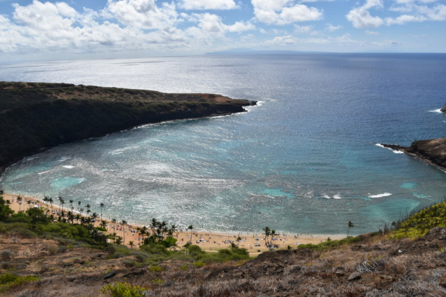 Voyage à Hawai 3 îles Oahu, Big Island et Mauï Dsc_4822