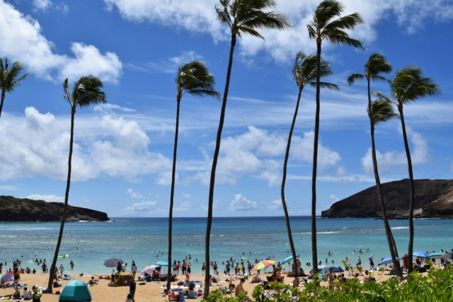 Voyage à Hawai 3 îles Oahu, Big Island et Mauï Dsc_4823