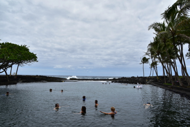 Voyage à Hawai 3 îles Oahu, Big Island et Mauï Dsc_5027