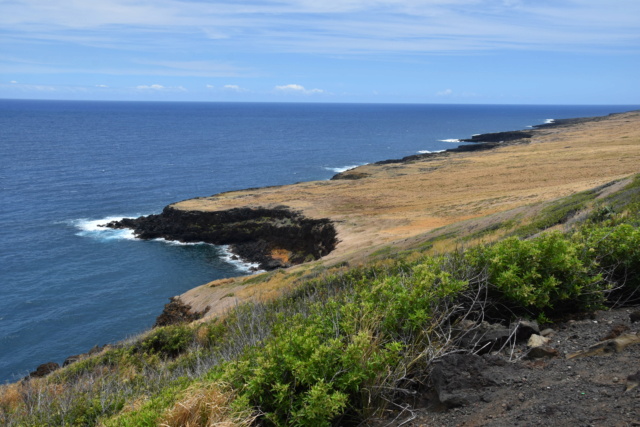 Voyage à Hawai 3 îles Oahu, Big Island et Mauï Dsc_6211