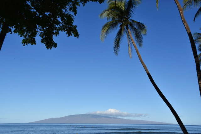 Voyage à Hawai 3 îles Oahu, Big Island et Mauï Dsc_7119