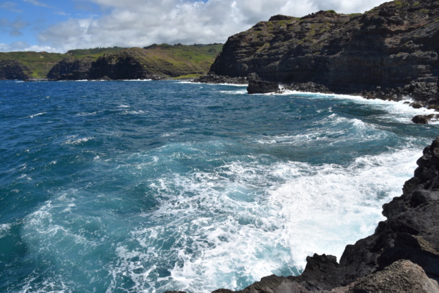 Voyage à Hawai 3 îles Oahu, Big Island et Mauï Dsc_7317