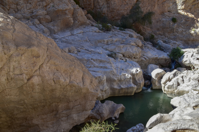 Oman, le pays des Mille et Une Merveilles ! Dsc_7346