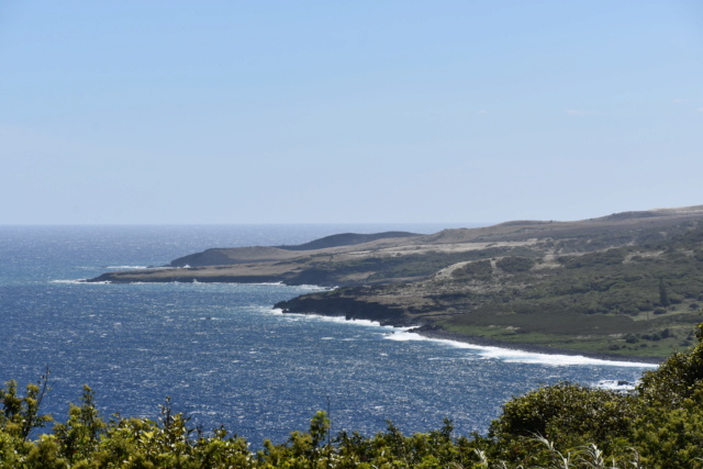 Voyage à Hawai 3 îles Oahu, Big Island et Mauï Dsc_8117