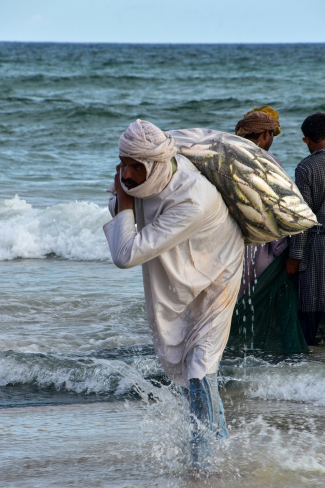 Oman, le pays des Mille et Une Merveilles ! Dsc_8264